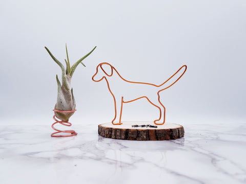 Wire sculpture of standing Labrador retriever, golden retriever